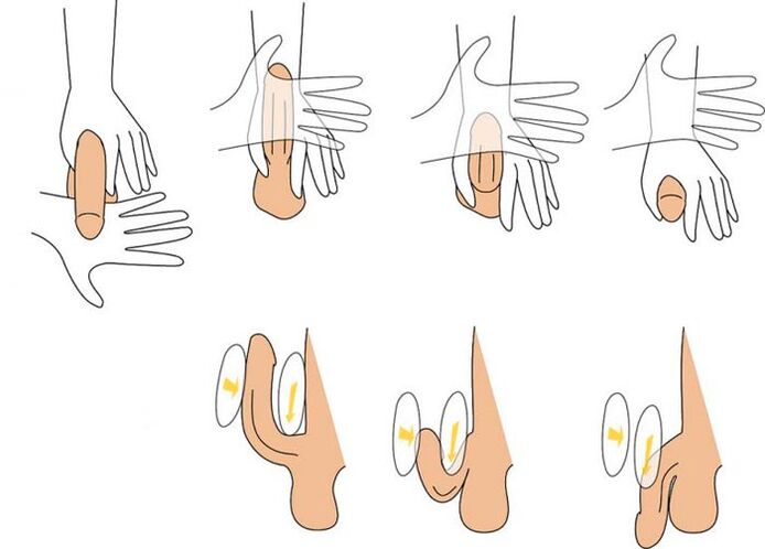 den Penis beugen, um ihn zu vergrößern